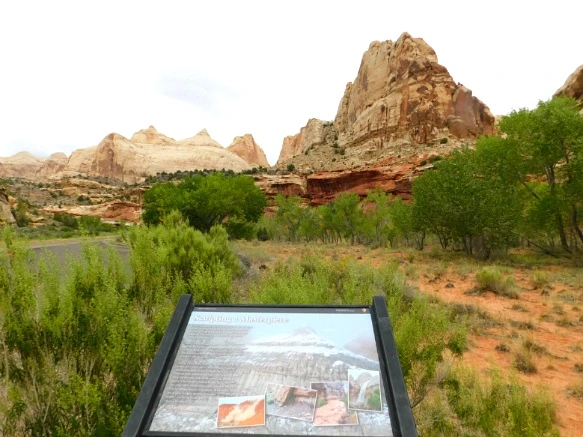 993EA73359B5EB32043520