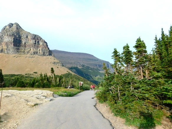 99048D3359A103D31B0F5E