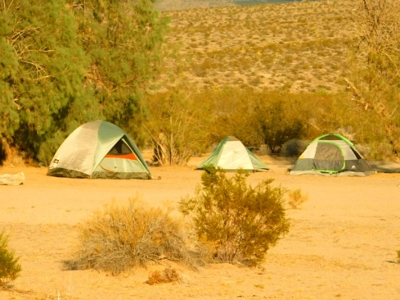 27195637577B02CA34077B