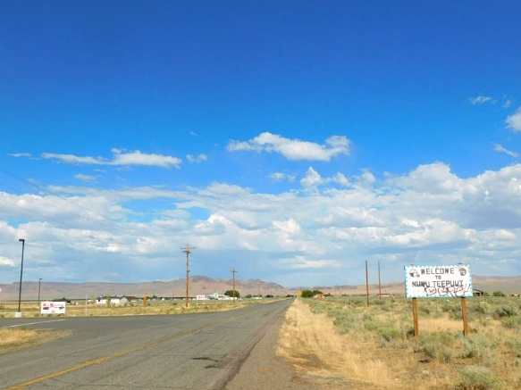 99810C3359A77C5F301711