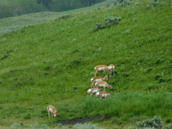 99AC7E335B3AF15E2FDA0C