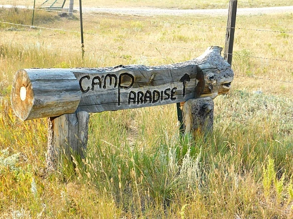 995006455B7655F425296E