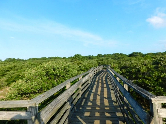 997A60385B5FC3FD121C96