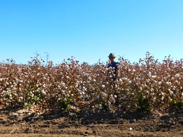 9994B6335A28AE900C518F