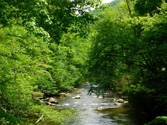 21687748595096D5260763