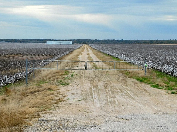 99E812355BF76DF82CD102