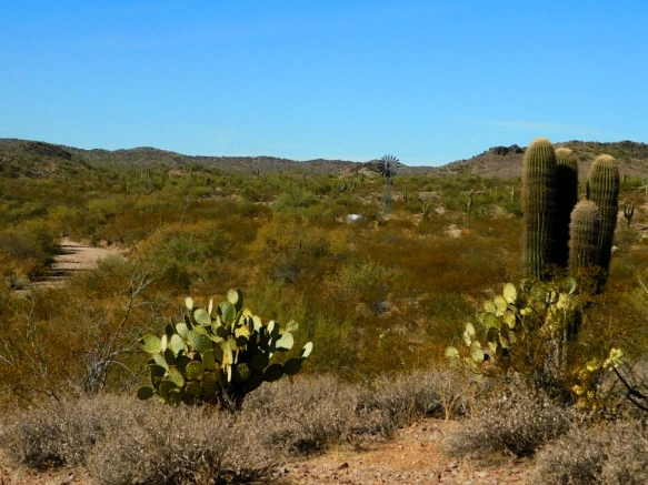 99E3AF335A25F324305B7B