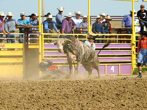 993CBF3B5B7D9EC1039058