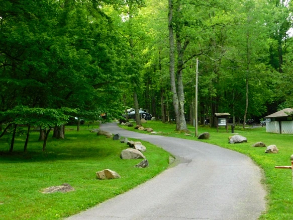 2260994E59509A261CA409