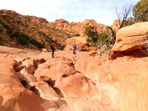 999CFA335A18D4D415C041