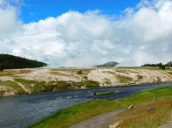 99A2D5495B39A5901C21CD