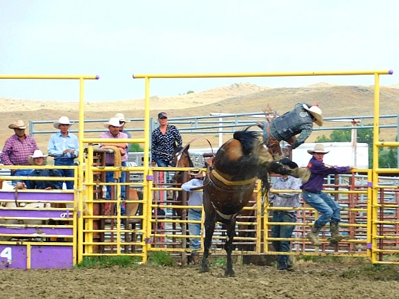 9938773C5B7F81BB2B389D