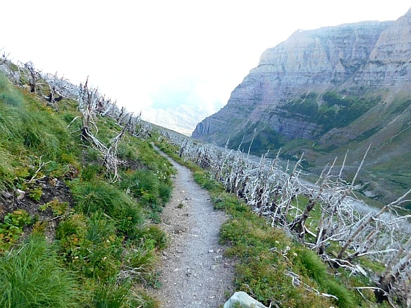 99CA74465B95B1A1325005