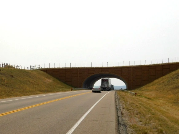 9964B63359B1EAA43024FE