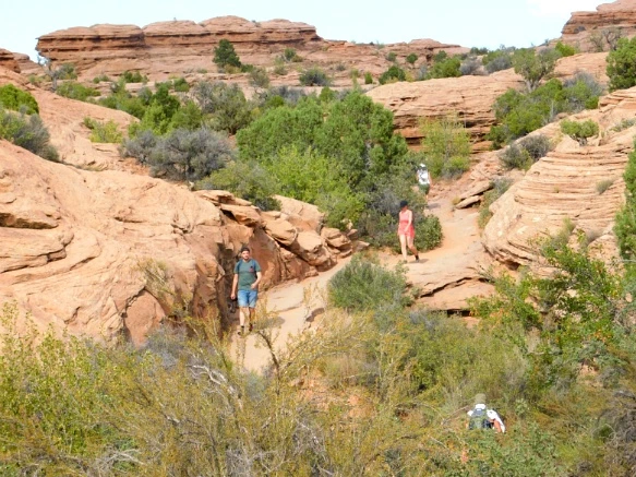 9953073359B31A7714BD61