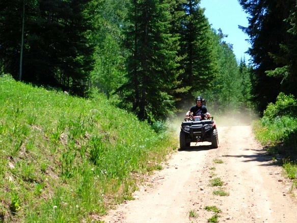 246A314E595C2CB6129C99