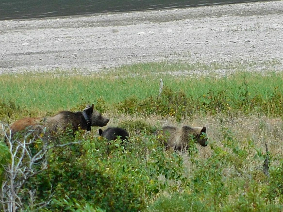 997F98425B8F345E0687E5