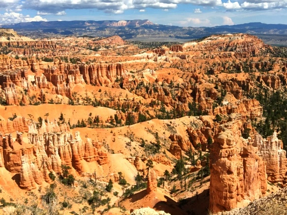 99FBCB3359B875CB048D07