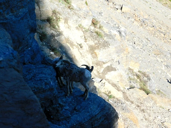 99276D465B3573A7082E71