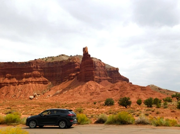 9918DE3359B74D491B4F78