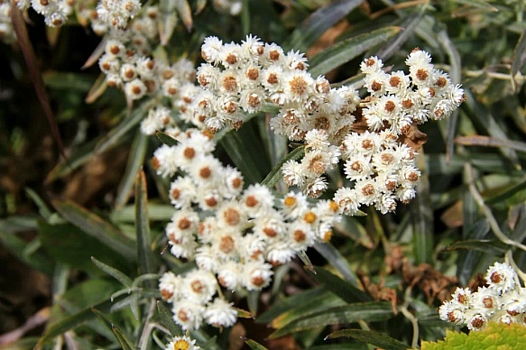 99F880445BA3142B0E6BDB