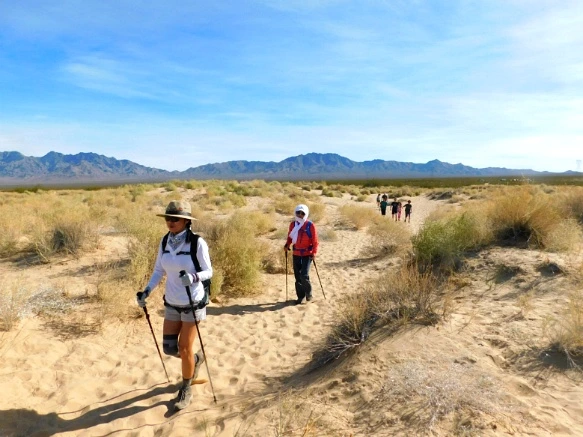 99F033335A206EAB35F651