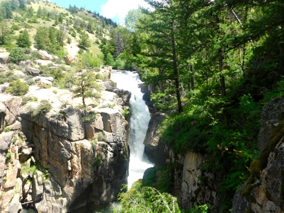 99A2F9425B40276431C91E