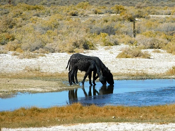 99714A375BD1341B01A406