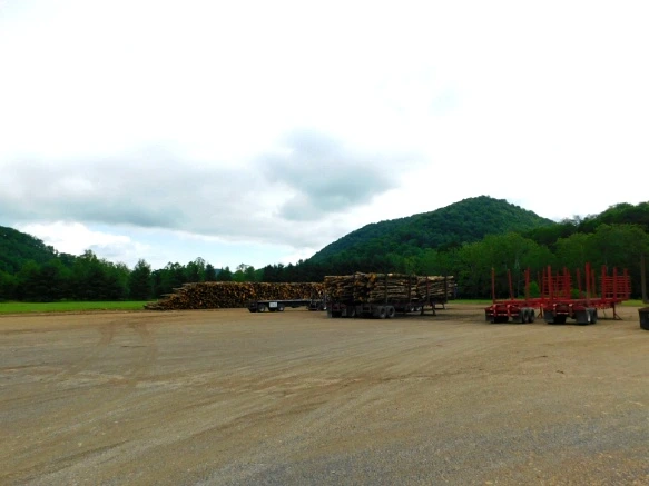 23316643594C902B24BD18