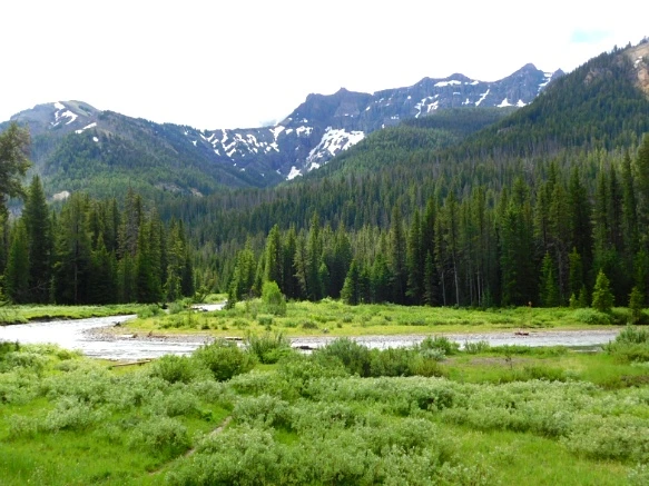 99A6973E5B3B022F1F2FDC