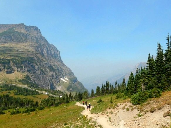 995EAD3359A24842313CF8