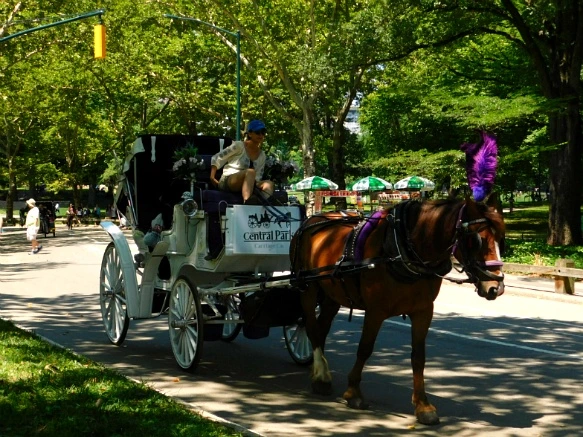 993C90495B59449816F1BC