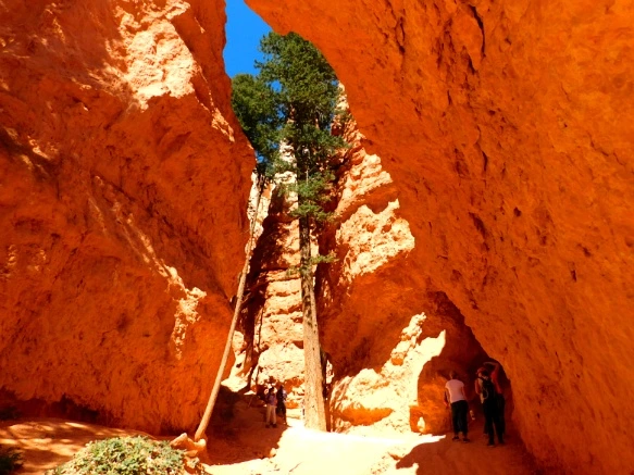 998A663359B878C00C020F