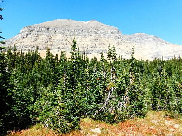 9971A3445B95AAF7157414