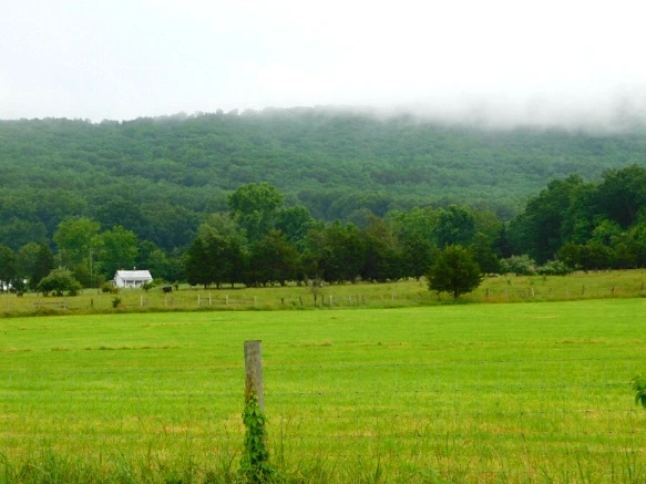 222B2D38594C8FCC0DADCE