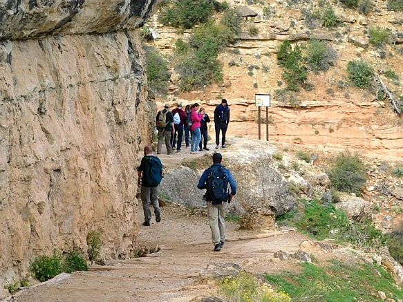 99DDFE375BC9512A057E2F