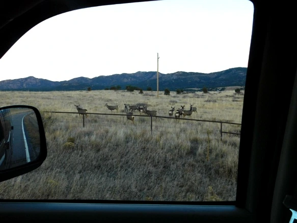 99A613335A07C87525FC24