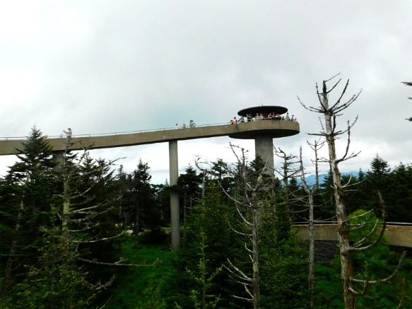 2735D44F59509829173B78