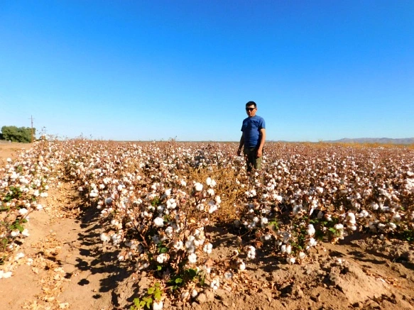 9990B4335A28AE7B0C86B2