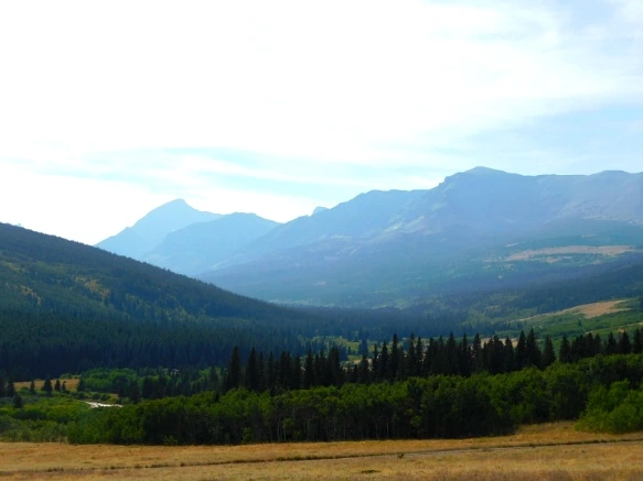 995F293359A0FBA80495FE