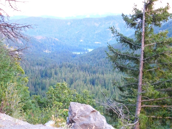 99EC583359A38364283341