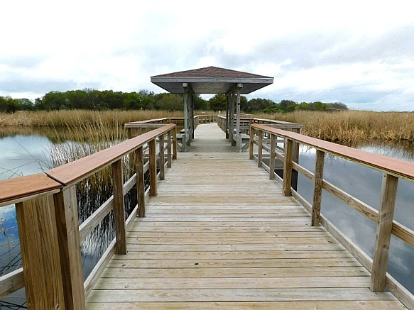 9969003A5BF9F9D9017DAD