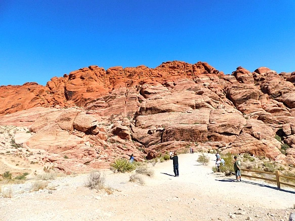 99ED8C3F5BCD1C6701FD3C