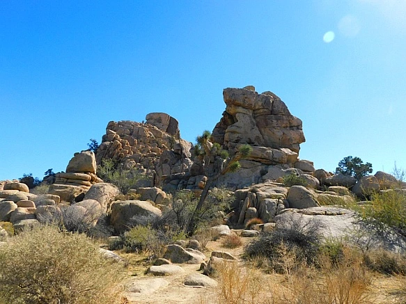 99919C4F5BE11CA1394021