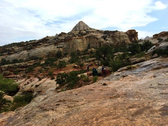 995E5E3359B74FEA3097F4