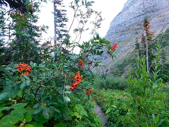 99114D465B95B1B52E28DB