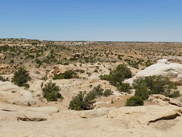 2249BE37577F1E9101538F