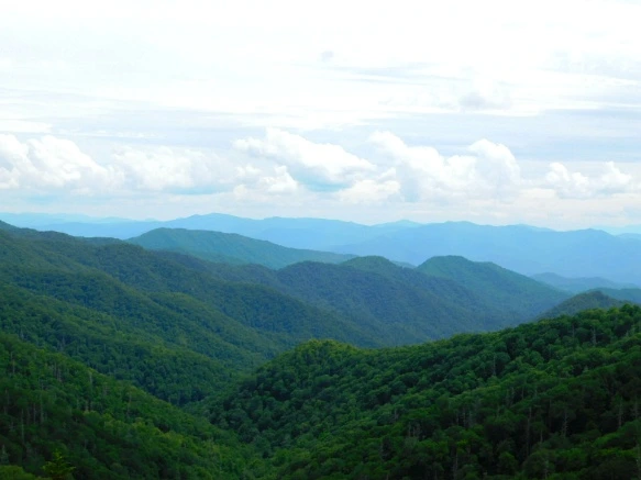 26598F4E595096E1175356