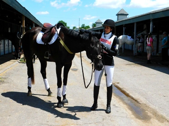 2778B633597D171A2DC1B6