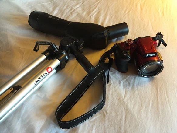 24109E43575E33440D7209